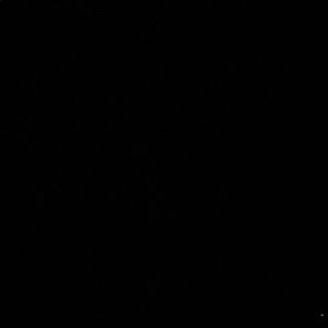 Meet your Posher, Izzat